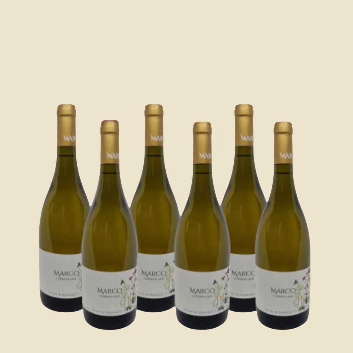 Marco Lubiana Chardonnay 2023 - 6 Bottles