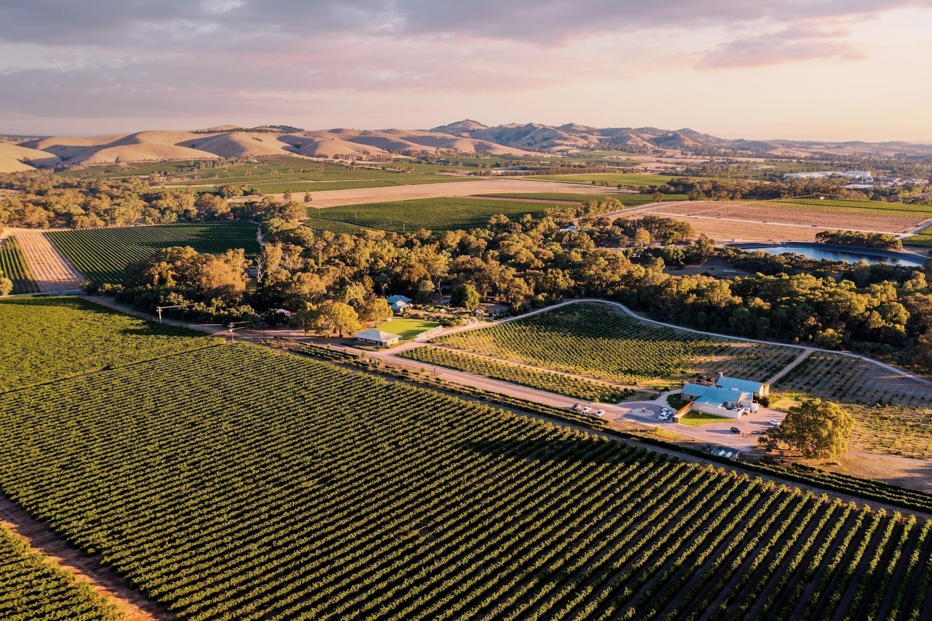 The Barossa Valley: Australia’s Wine Country