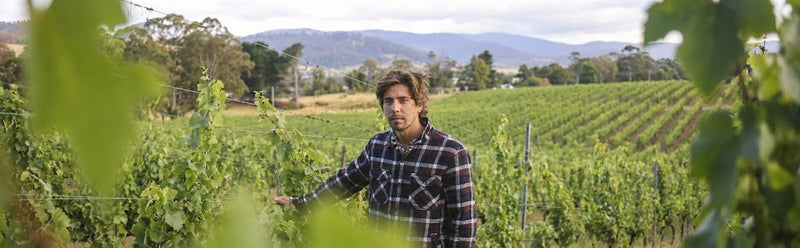 Marco Lubiana