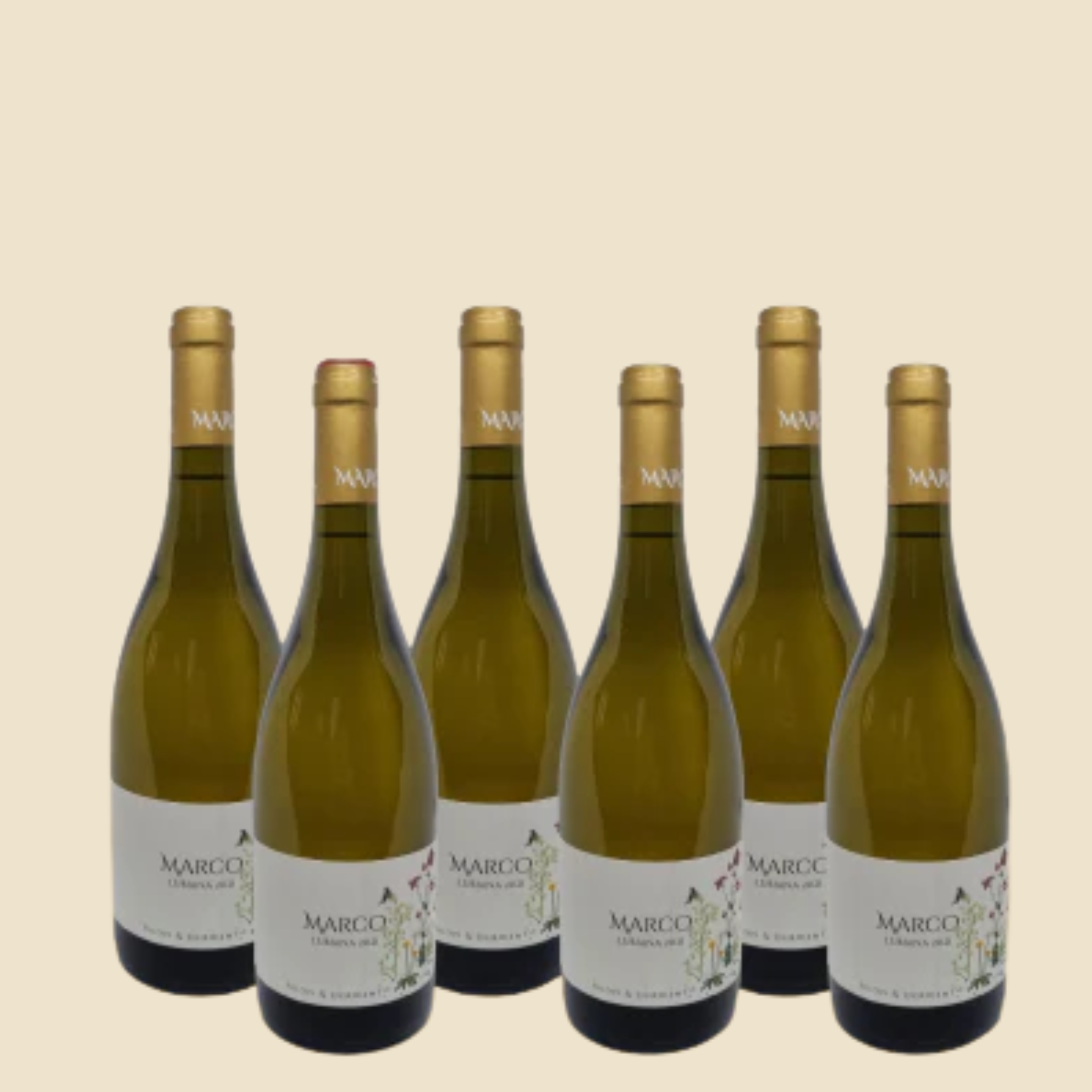 Marco Lubiana Chardonnay 2023