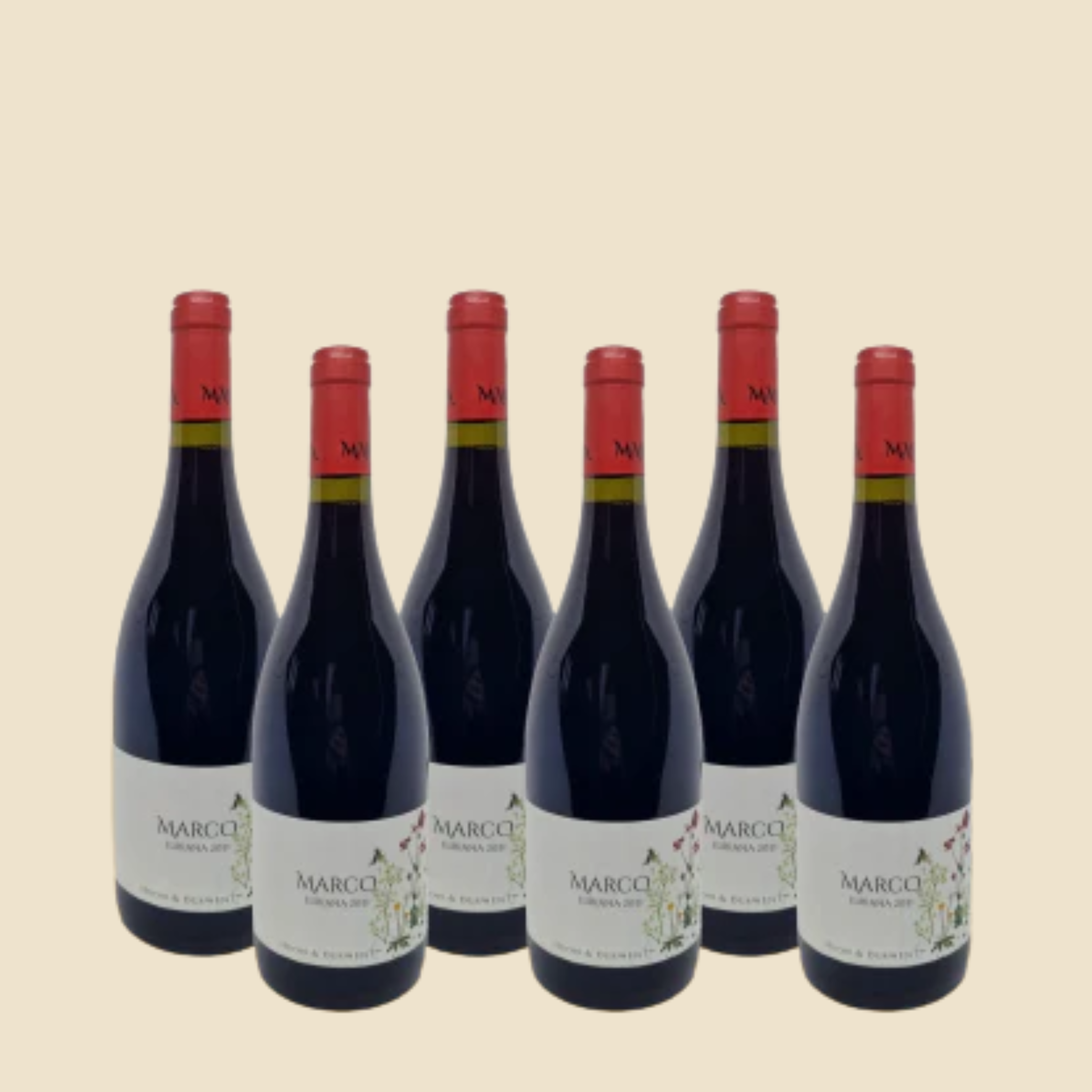 Marco Lubiana Pinot Noir 2024 - 6 Bottles