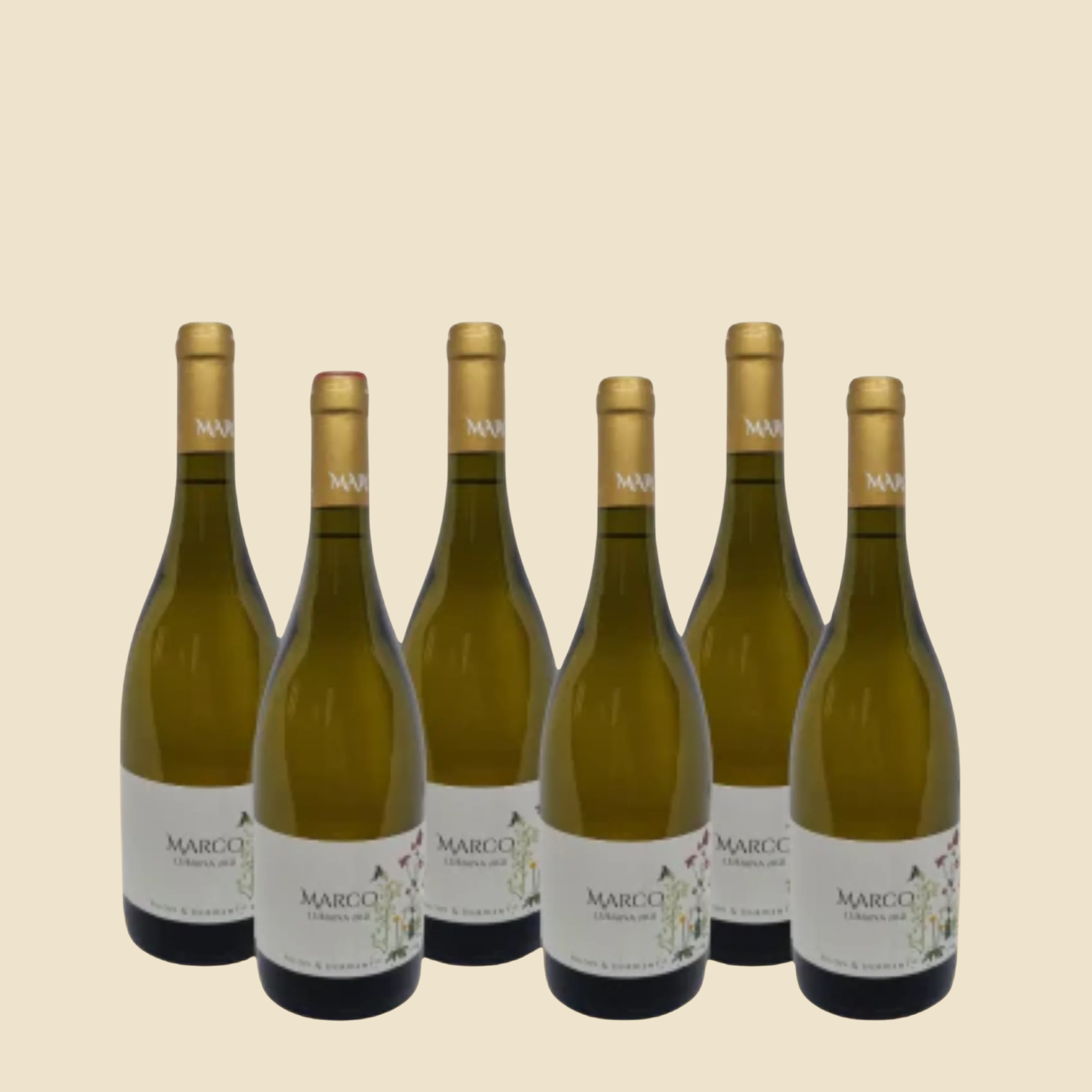 Marco Lubiana Chardonnay 2023 - 6 Bottles